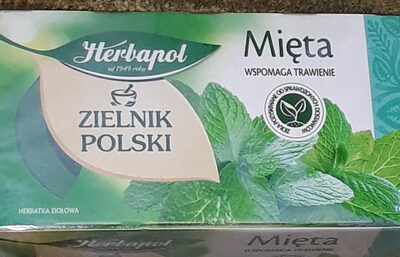 Mięta